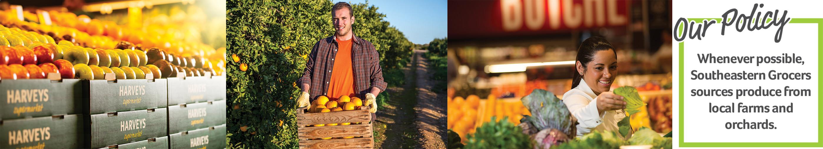 Collage of local farmers and WinnDixie associate in the produce