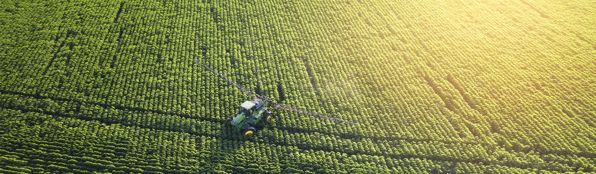 Tractor in a green field