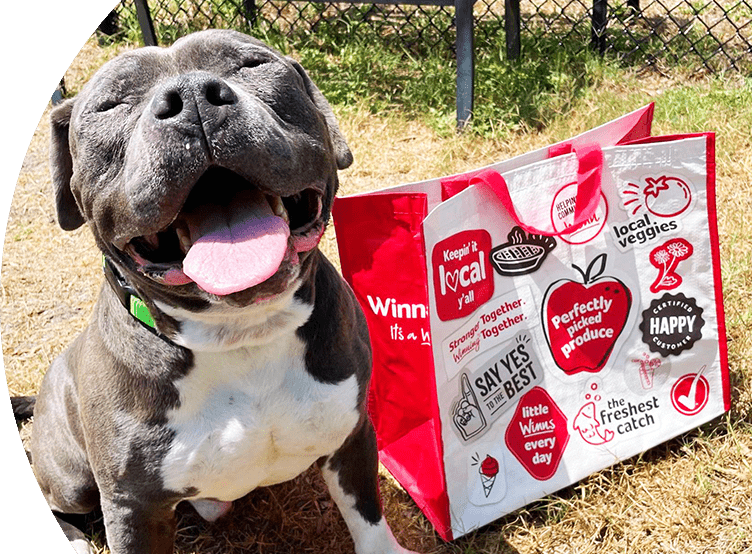 Smiling dog joyfully sitting next to a Winn-Dixie community bag.