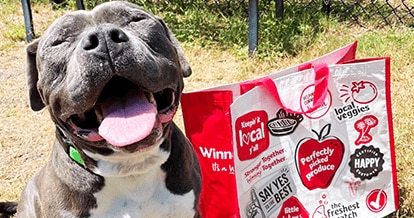 Smiling dog joyfully sitting next to a Winn-Dixie community bag.