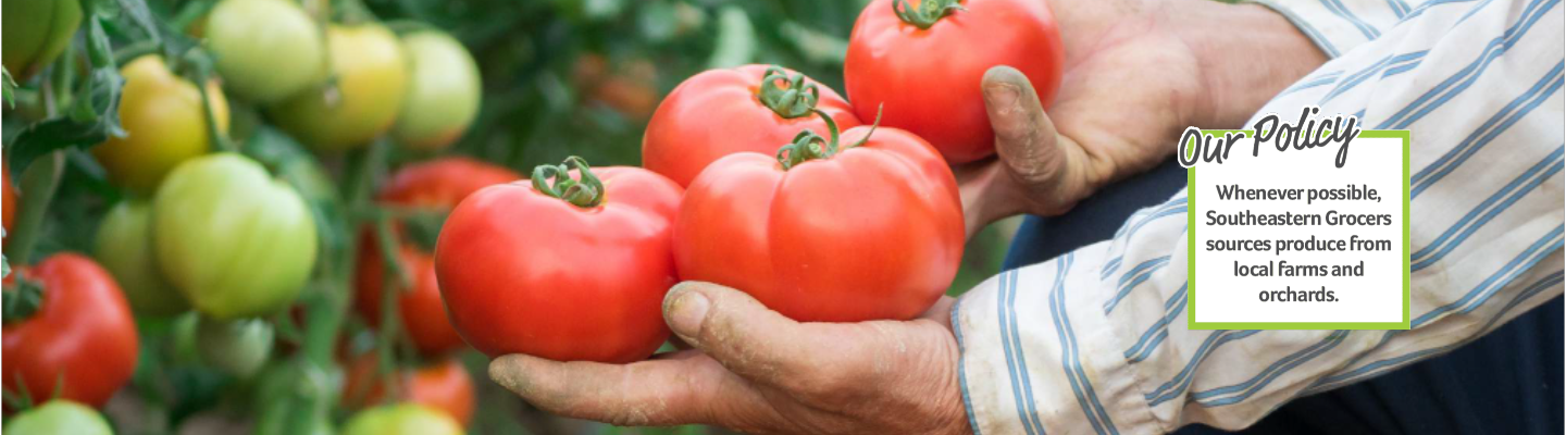 Farmer holding fresh ripe tomatoes in his hands - Our Policy - Whenever possible, southeastern grocers sources produce from local farms and orchards,